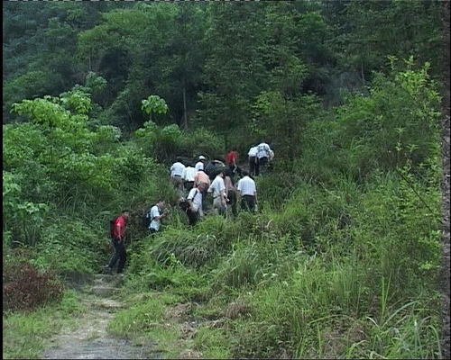 20070613_6b0b1e1f37c5768b4340Fuk9qpMePq6l.gif