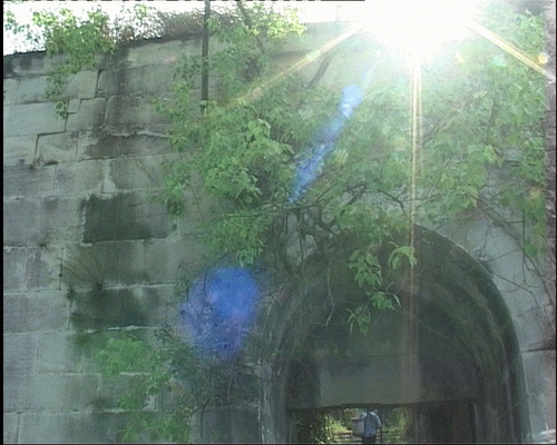 20070614_e292861185d104b02548iwt93kkcnQ5z.gif