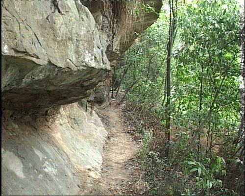 2.gif