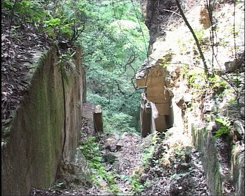 3.gif