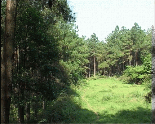 20070614_b08ff4d036032bd0e00faRI8GFLcCNK9.gif