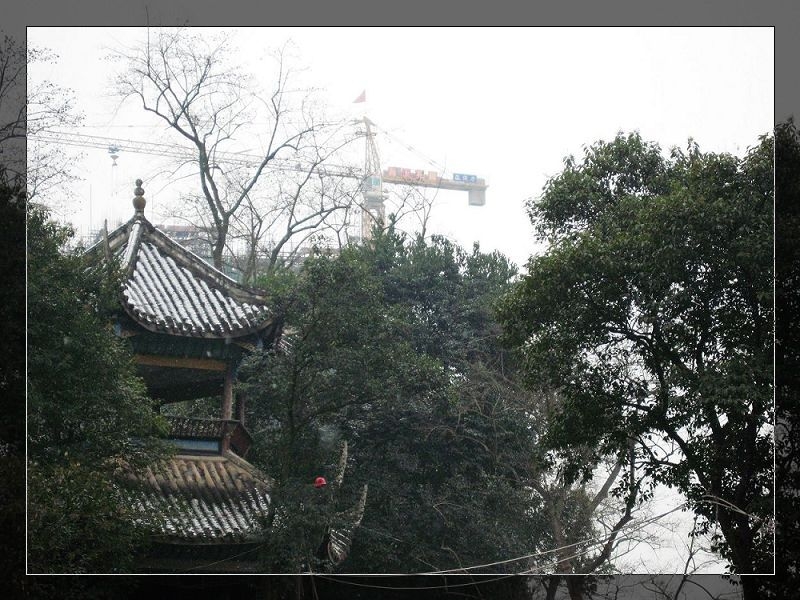 飞雪 (5).jpg
