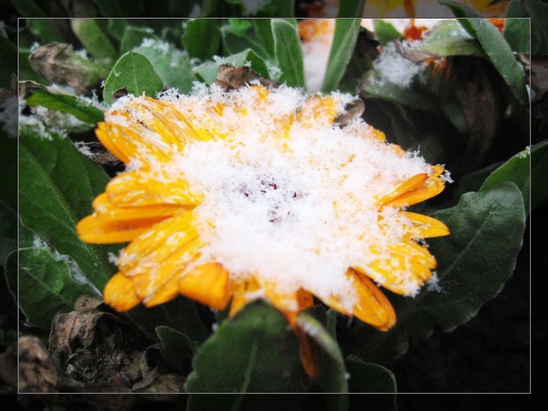 飞雪 (26).jpg