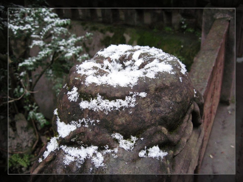 飞雪 (2).jpg