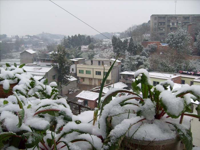 雪.jpg