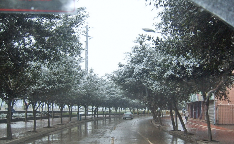 SUC53245.jpg