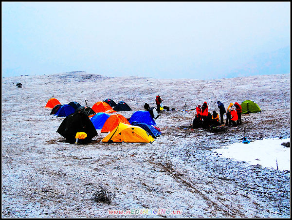 DSC_0155.jpg