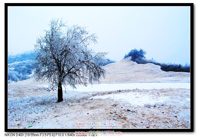 DSC_0147.jpg