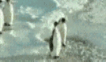 20080201_69676a40d35feabdc199ggxAz6kyQXDN.gif