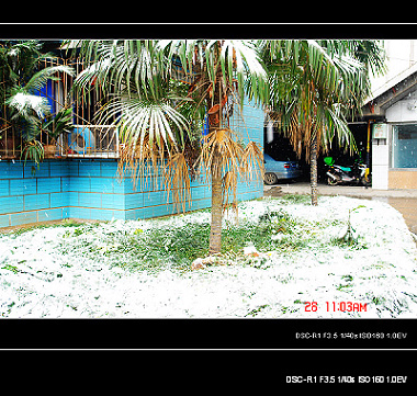 DSC03790.jpg