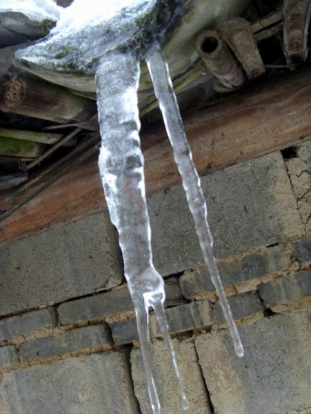 S73R0096.JPG