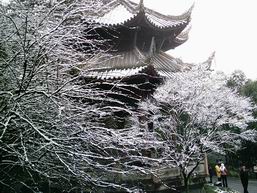 梅花亭