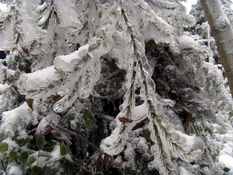 S73R0091.JPG