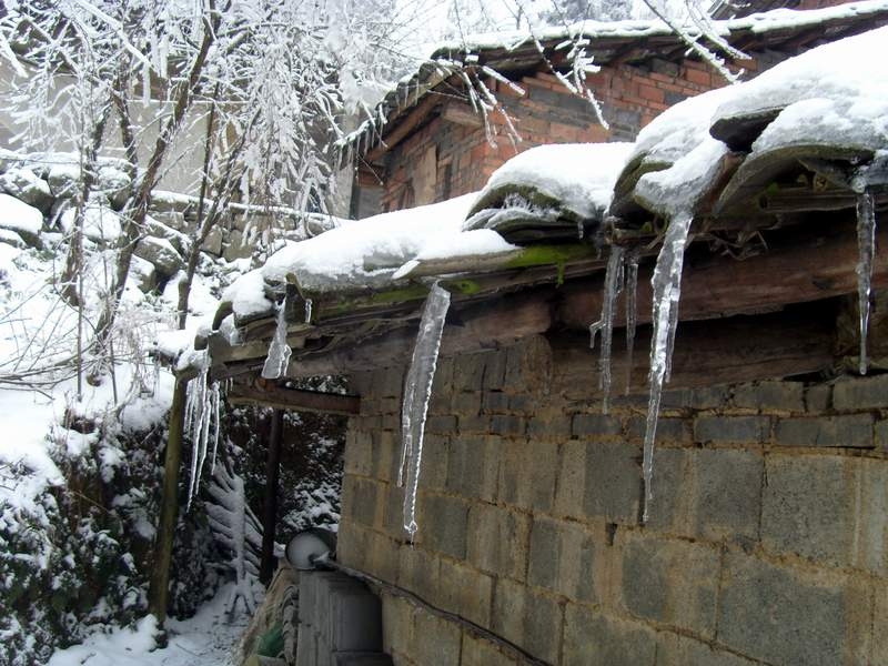 S73R0095.JPG