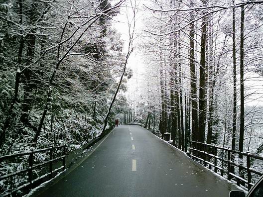 伏虎寺雪景