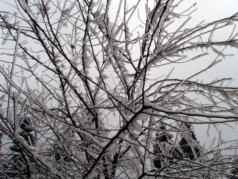 S73R0082.JPG