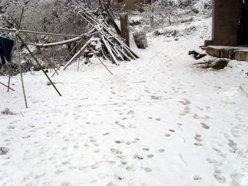 S73R0100.JPG
