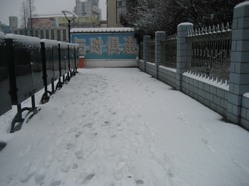 IMG_1602-1.jpg