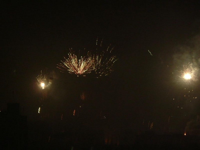 DSCF0147 (大型).JPG
