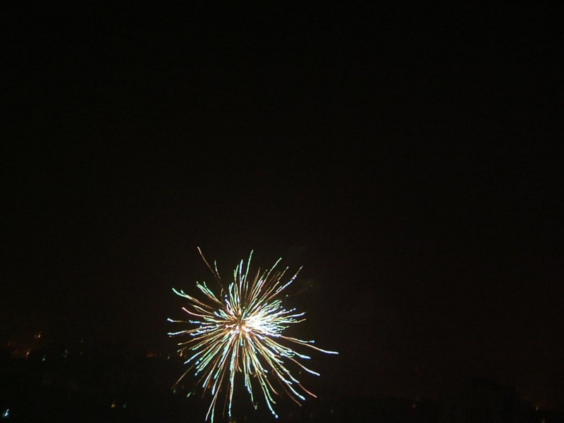 DSCF0115 (大型).JPG