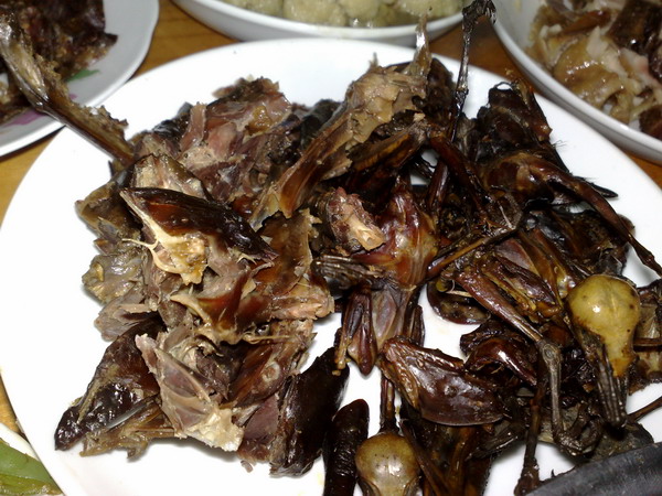 20080210193_调整大小.jpg