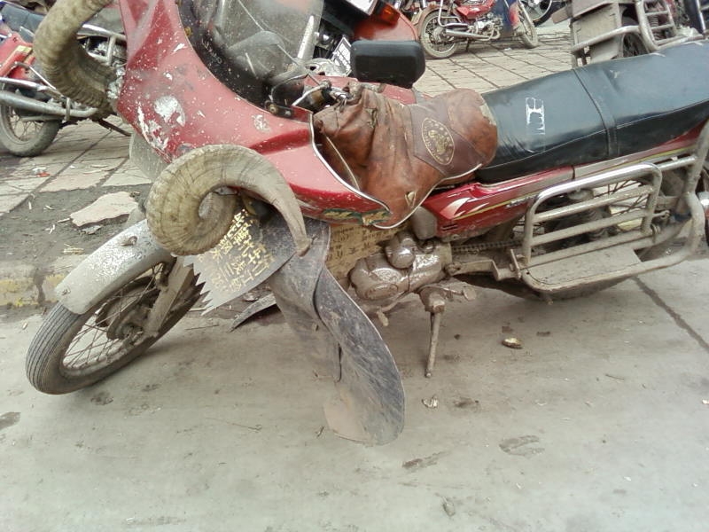 SP_A1083.jpg