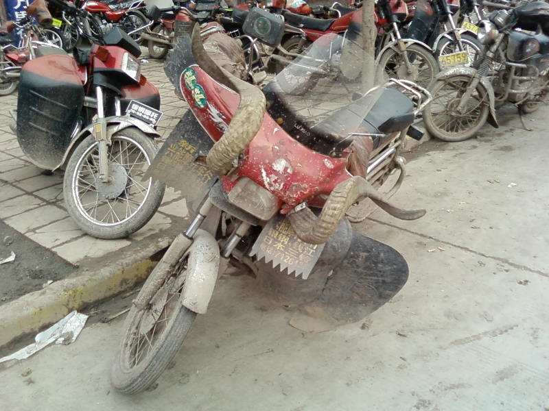 SP_A1082.jpg
