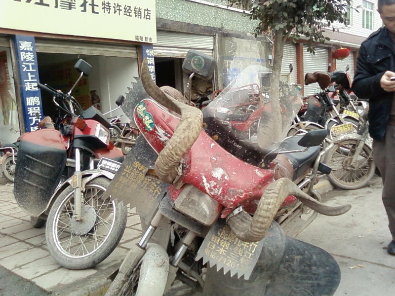 SP_A1084.jpg