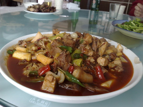 20080214238_调整大小.jpg