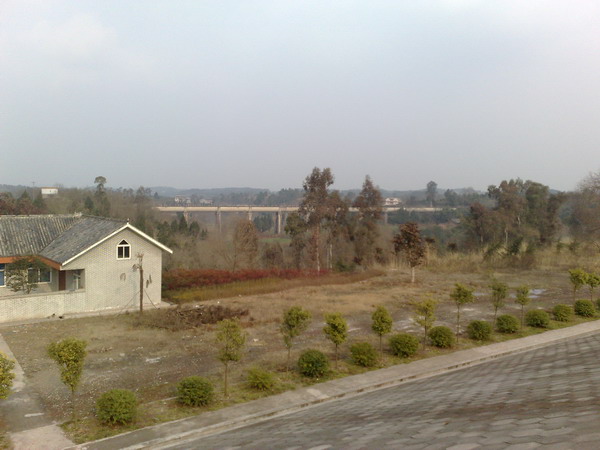 20080214242_调整大小.jpg