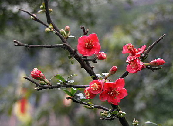 20080214_590a026a2dfa4bbb446dZVTKK57Tq2qi.jpg