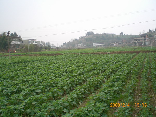 CIMG7631111.jpg