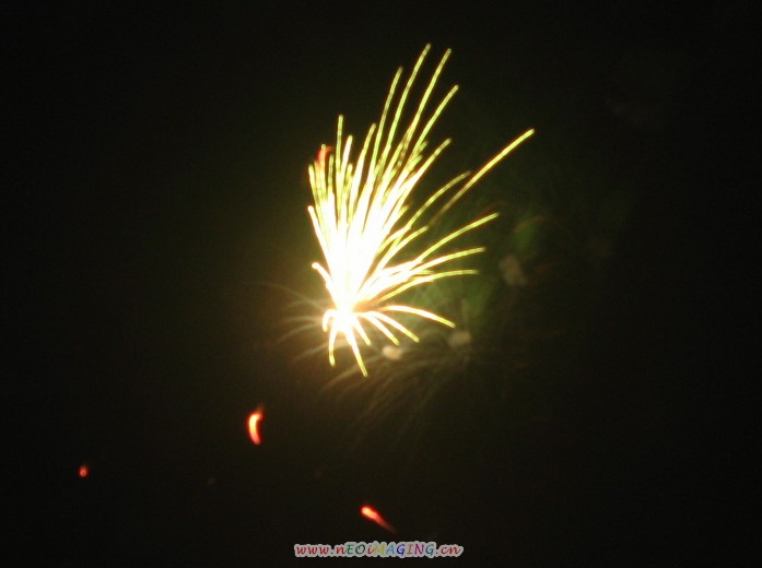 IMG_1291.jpg