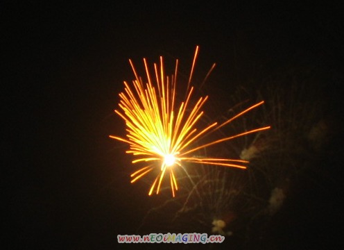 IMG_1294.jpg