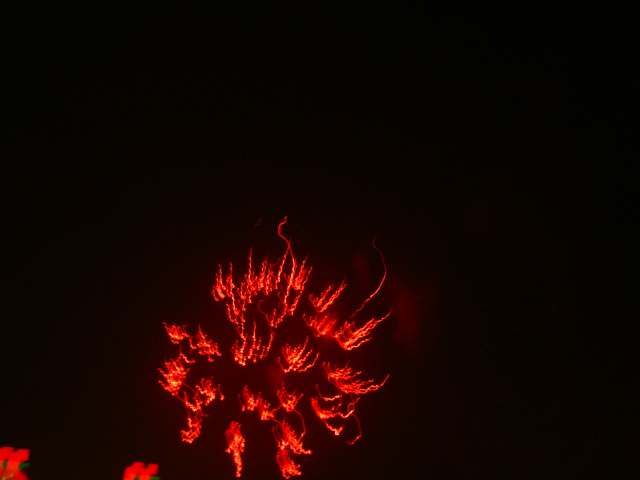 DSC00582.JPG