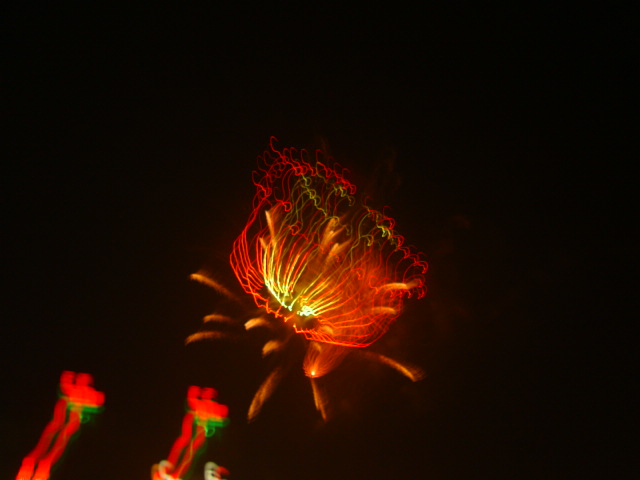 DSC00556.JPG
