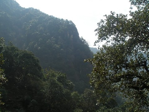 米易龙肘山