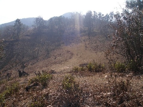 米易龙肘山