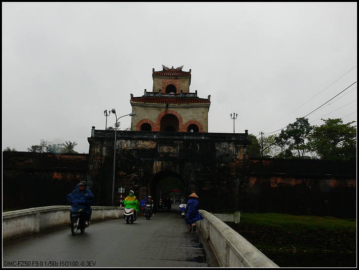 P1030978.jpg