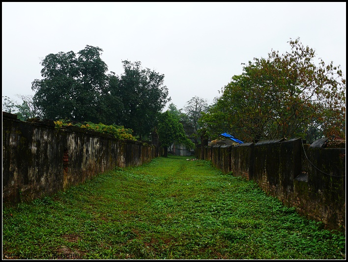 P1040017.jpg