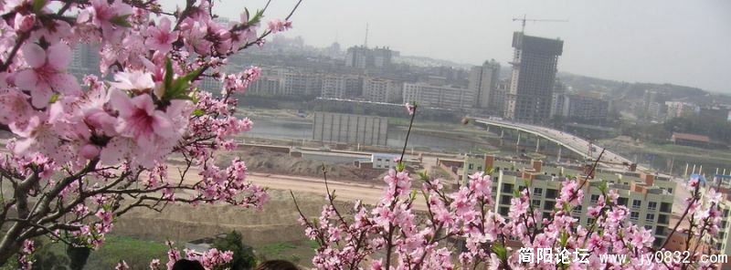 沱江两岸是春风,三月心醉为桃红,