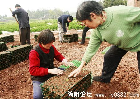 20080321085019_036.jpg