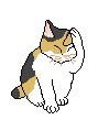 094dp.gif
