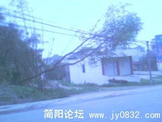 IMG0079A.jpg