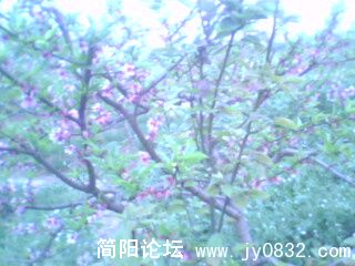 IMG0071A.jpg