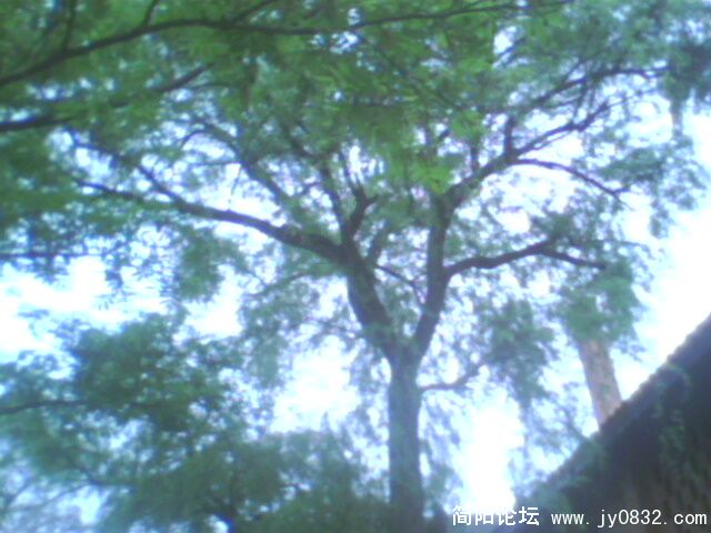 IMG0066A.jpg