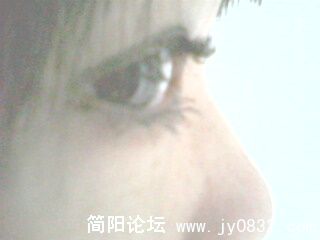 IMG0037A.jpg