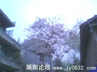 IMG0068A.jpg