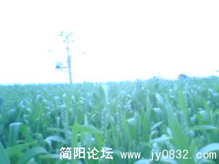 IMG0073A.jpg