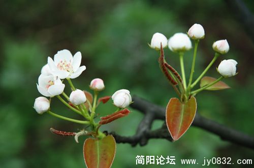 DSC_8617.JPG